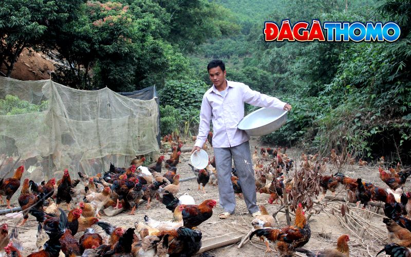 Phương pháp điều chỉnh dinh dưỡng mùa lạnh
