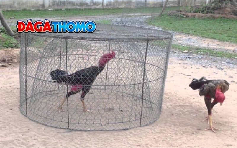 Phương pháp luyện tập và vận động hợp lý