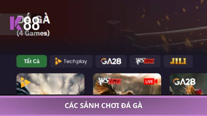 Các sảnh chơi đá gà