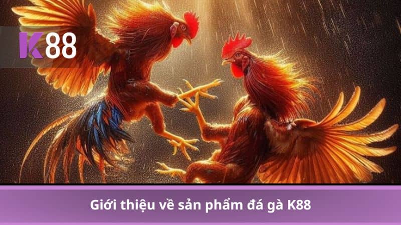 Giới thiệu về sản phẩm đá gà K88