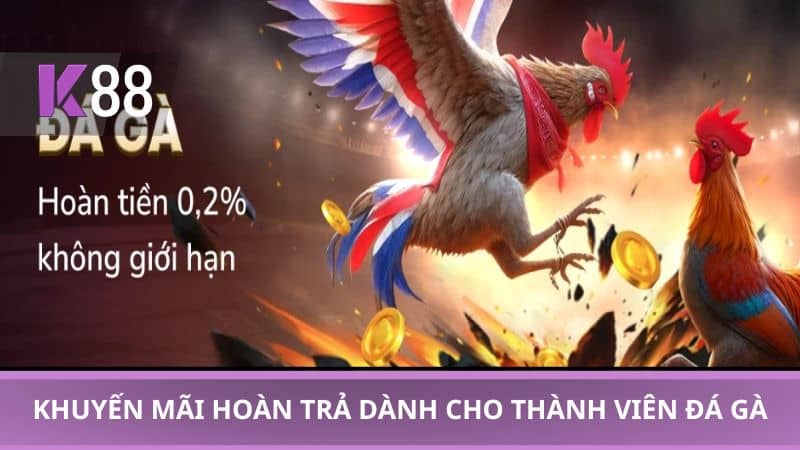 Khuyến mãi hoàn trả dành cho thành viên đá gà