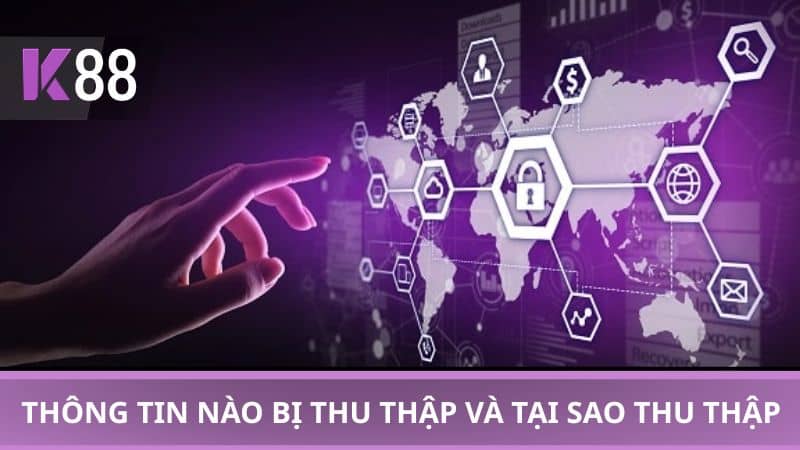Thông tin cá nhân nào bị thu thập và tại sao